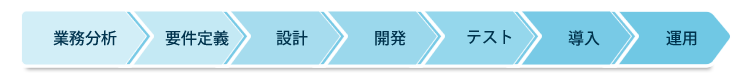 �V�X�e���J���T�[�r�X�̗���